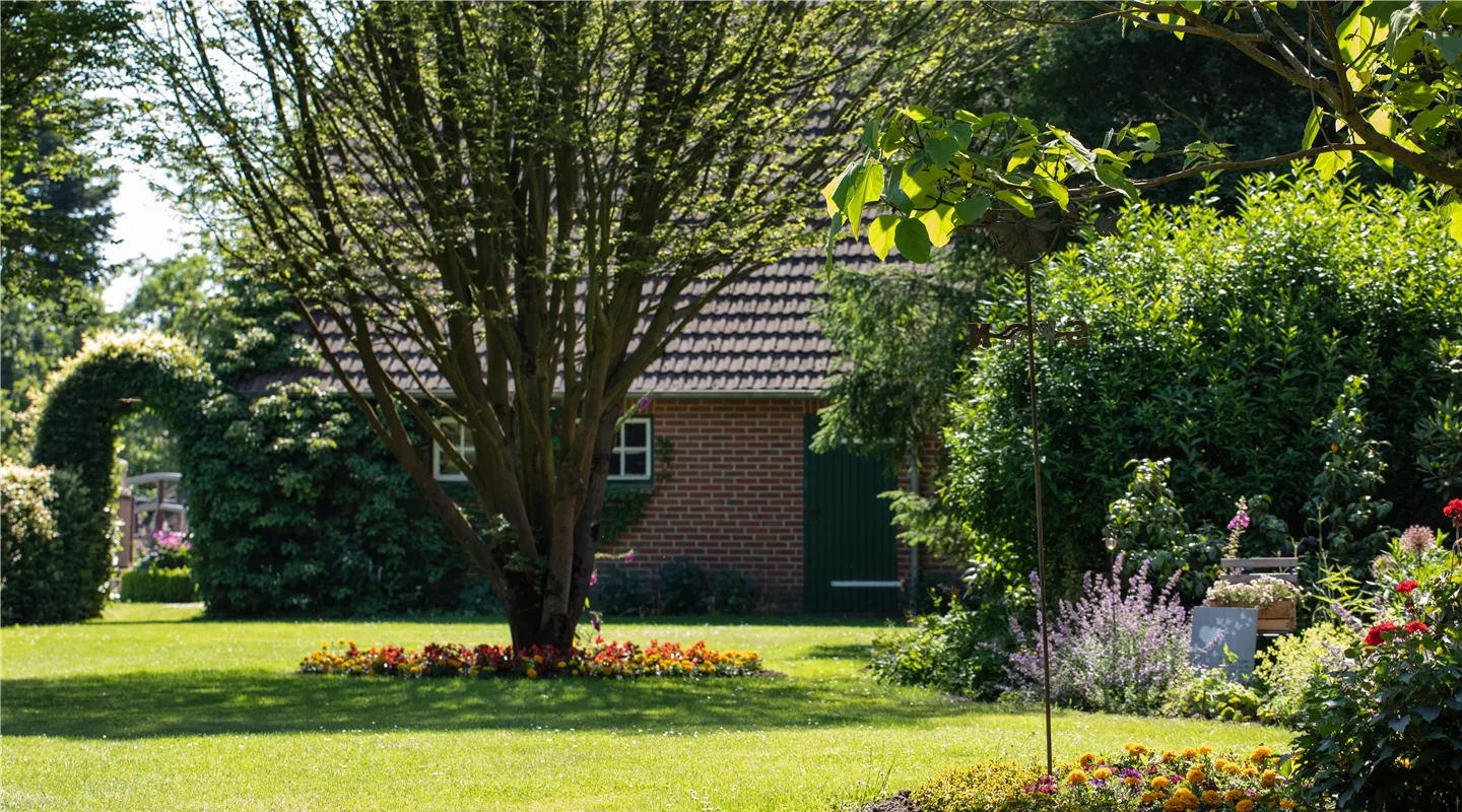 Gartenpflegeservice, Neu & Umgestaltung von Gartenanlagen Griewe