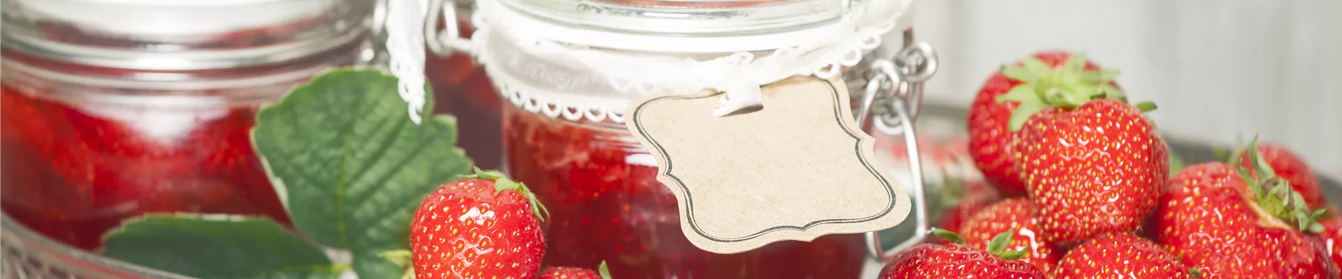 Fragaria x ananassa Fragaria x ananassa