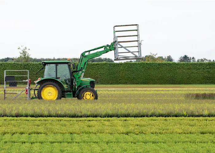 Der Betrieb Der Betrieb