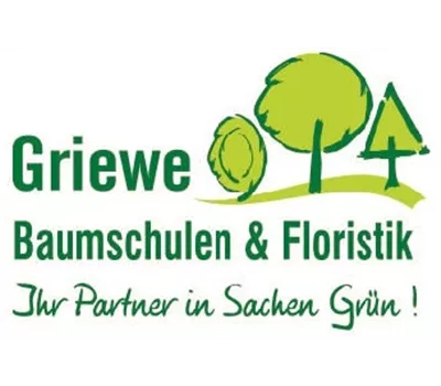 Rosa 'White Meidiland ®' Rosa 'White Meidiland ®'