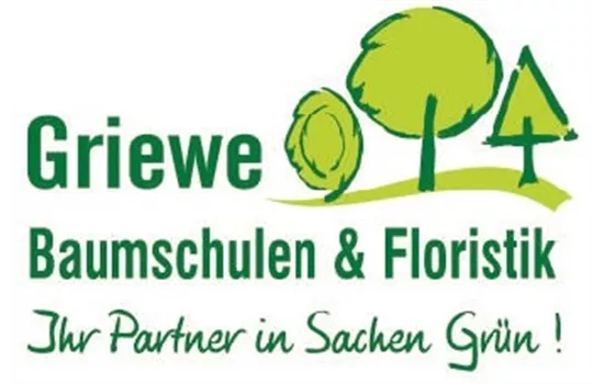 Thymus serpyllum 'Elfin'  Thymus serpyllum 'Elfin'