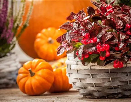 Die Haustür als Visitenkarte – Ideen für die herbstliche Dekoration Die Haustür als Visitenkarte – Ideen für die herbstliche Dekoration