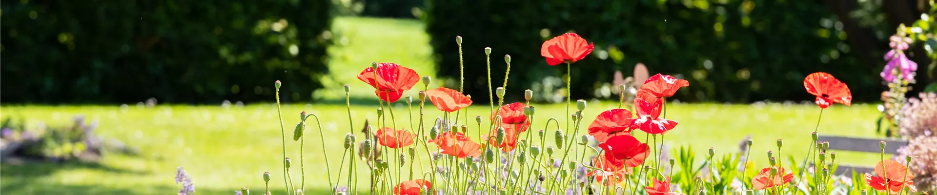 Gartenambiente  Gartenambiente