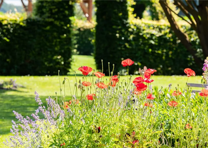 Gartenpflegeservice, Neu- & Umgestaltung von Gartenanlagen Gartenpflegeservice, Neu- & Umgestaltung von Gartenanlagen