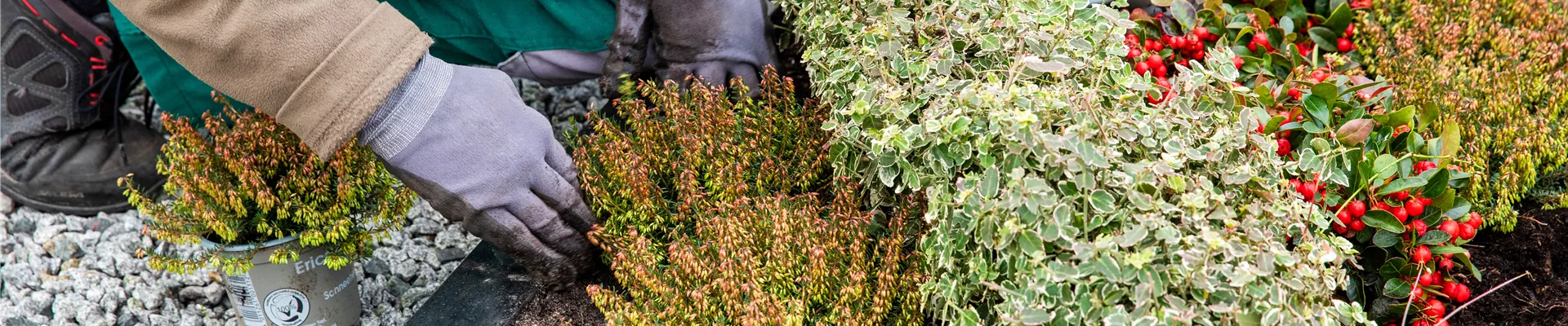 Grabgestaltung - Grab bepflanzen Grabgestaltung - Grab bepflanzen