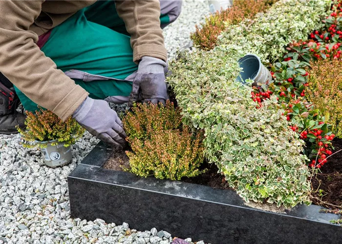 Grabpflege- und Gestaltung  Grabpflege- und Gestaltung