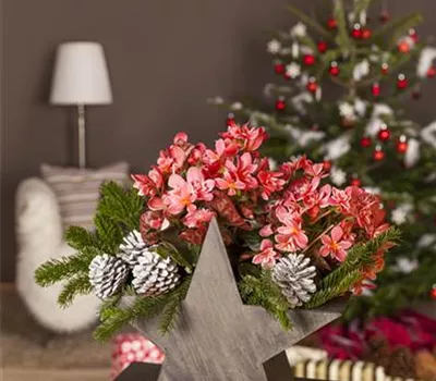 Advent - mit schönen Ideen durch die Vorweihnachtszeit  Advent - mit schönen Ideen durch die Vorweihnachtszeit