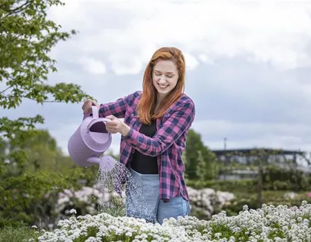 Frühling ist Pflanzzeit – ab in den Garten!