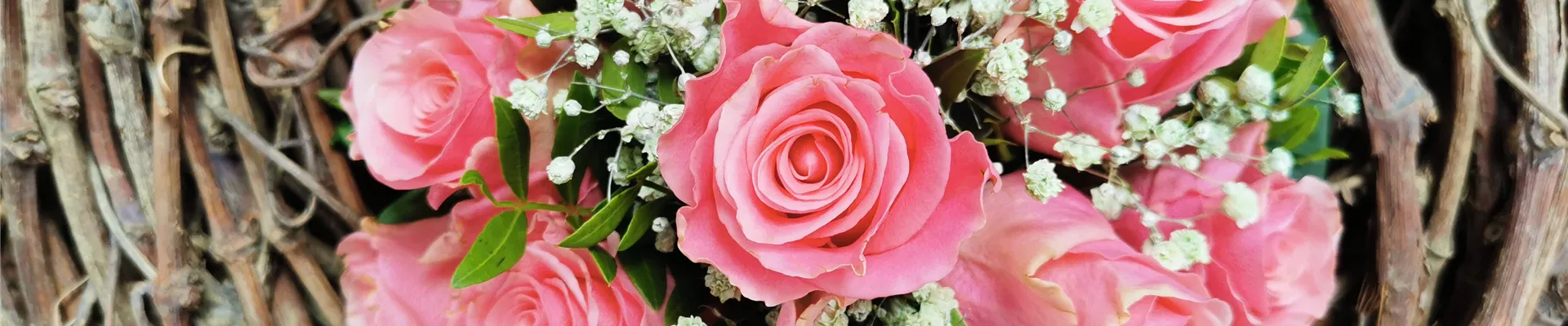 IMG_20220629_123719 IMG_20220629_123719