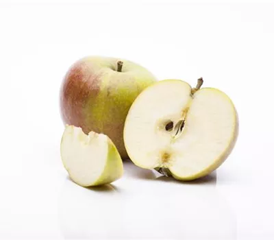 Malus 'Cox Orange Renette' Malus 'Cox Orange Renette'