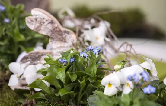 Ostern vor der Haustür Ostern vor der Haustür