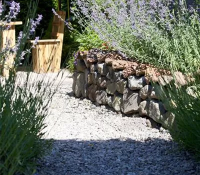 Mauern, Zäune und Hecken – mehr als nur Grenzen 