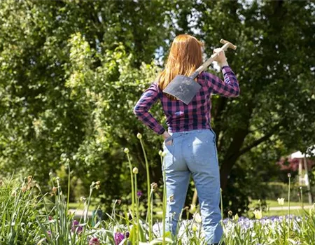 Der Gartenboden – jeder braucht mal Unterstützung Der Gartenboden – jeder braucht mal Unterstützung