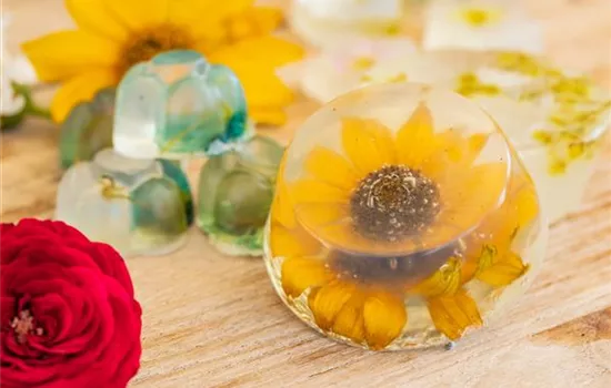 Blumenseife - die etwas andere Seife mit Blüten Blumenseife - die etwas andere Seife mit Blüten