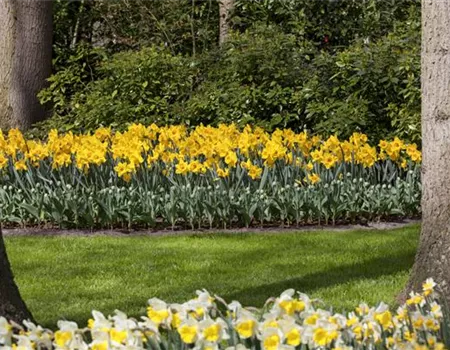 Das richtige Blumenbeet für den eigenen Garten